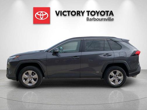 Magnetic Gray Metallic 2025 Toyota RAV4 Hybrid XLE