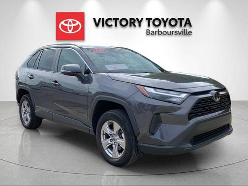 Magnetic Gray Metallic 2025 Toyota RAV4 Hybrid XLE