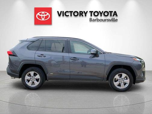 Magnetic Gray Metallic 2025 Toyota RAV4 Hybrid XLE