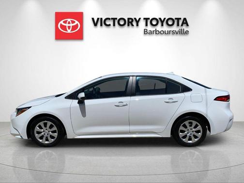 Ice Cap 2026 Toyota Corolla LE