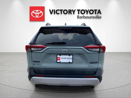 2019 Toyota RAV4 Adventure