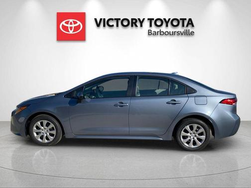 Celestite 2026 Toyota Corolla LE