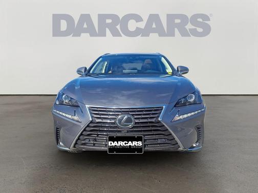 Nebula Gray Pearl 2019 Lexus NX 300 Base