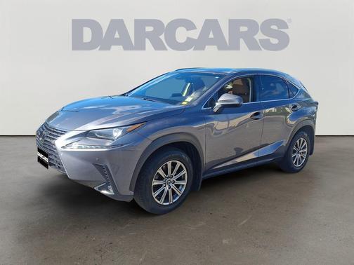 Nebula Gray Pearl 2019 Lexus NX 300 Base