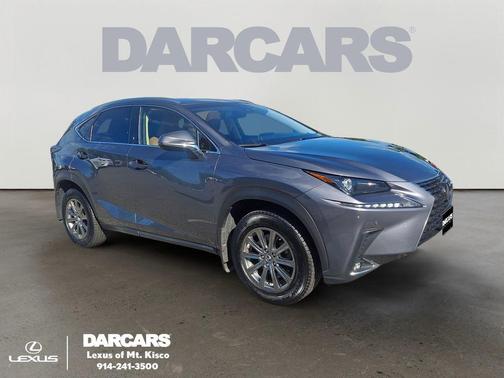 Nebula Gray Pearl 2019 Lexus NX 300 Base