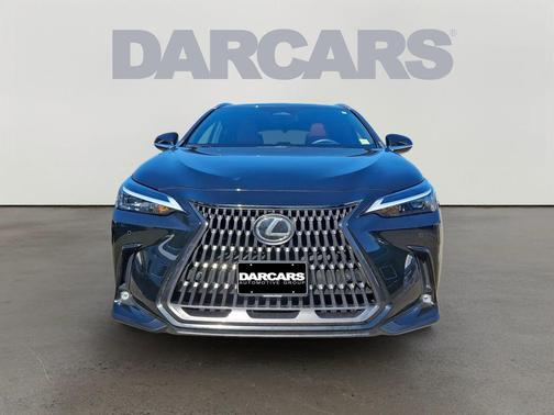 2024 Lexus NX 250 Premium