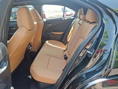 2025 Lexus UX 300h Premium