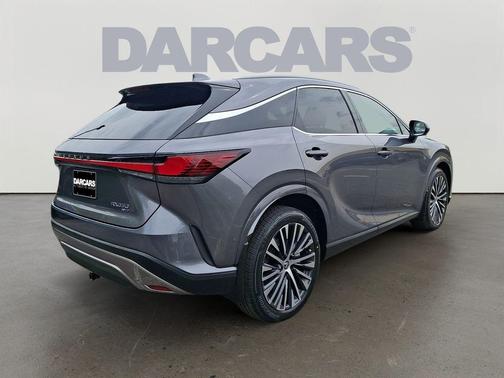 Nebula Gray Pearl 2023 Lexus RX 350 Premium Plus