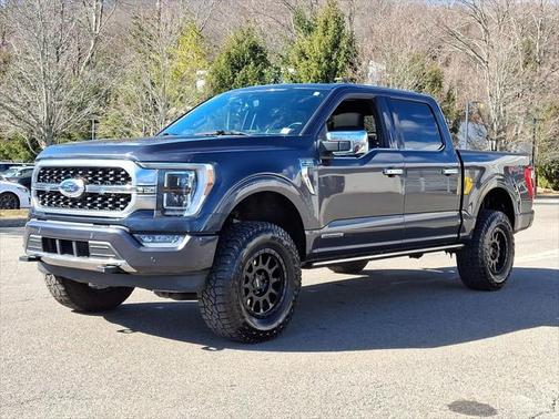 2021 Ford F-150 Platinum