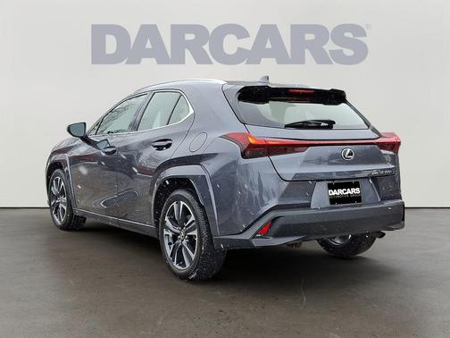 2025 Lexus UX 300h Premium