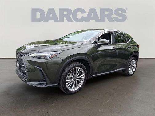 Nori Green Pearl 2025 Lexus NX 350 Premium