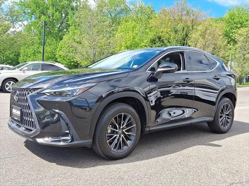 2024 Lexus NX 350 Premium