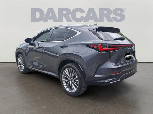 Cloudburst Gray 2025 Lexus NX 350h Premium