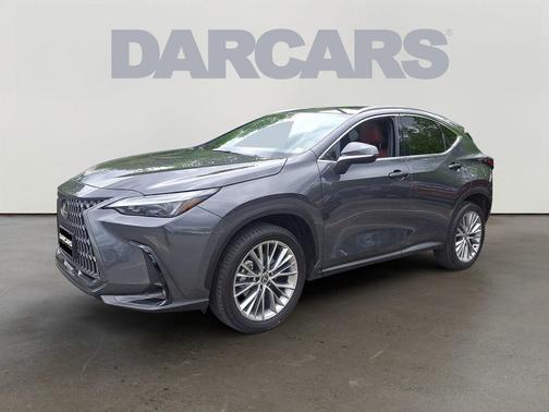 Cloudburst Gray 2025 Lexus NX 350h Premium