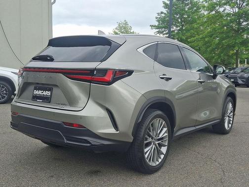 2025 Lexus NX 350 Premium
