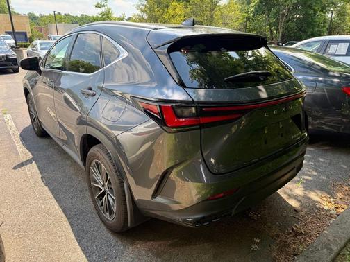 Cloudburst Gray 2024 Lexus NX 350h Premium