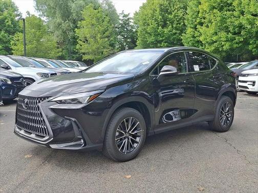 2025 Lexus NX 350 Premium