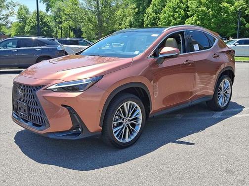 2025 Lexus NX 350 Luxury