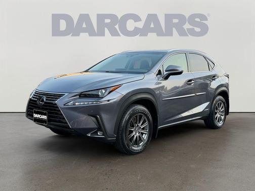 Nebula Gray Pearl 2019 Lexus NX 300h Base