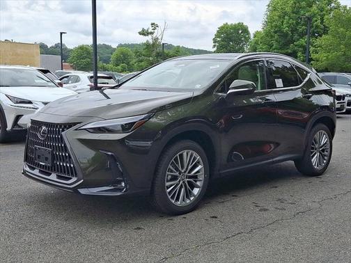 2025 Lexus NX 350 Luxury