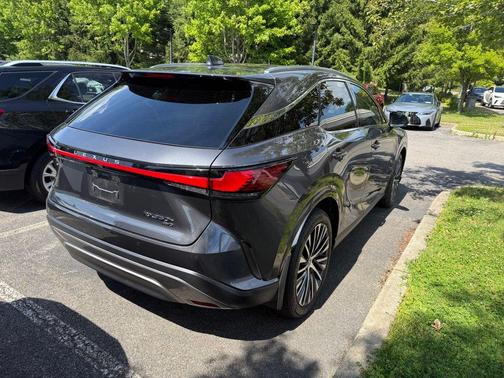 Cloudburst Gray 2024 Lexus RX 350 Premium Plus