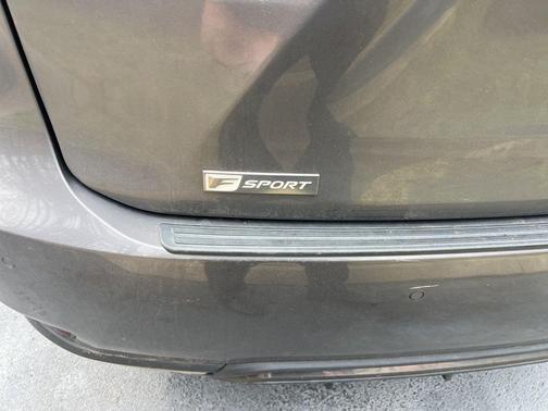 2020 Lexus RX 350 F Sport