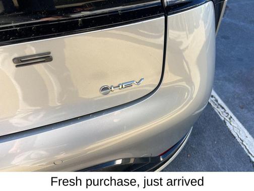 2023 Toyota Prius XLE