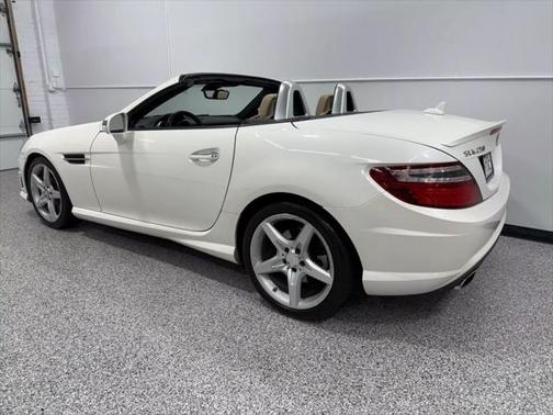 2014 Mercedes-Benz SLK-Class SLK 250