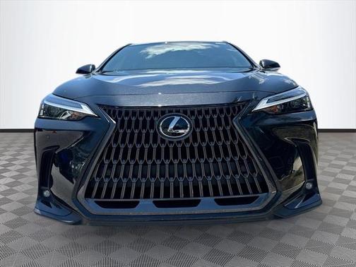 2025 Lexus NX 250 Premium
