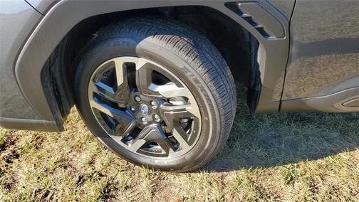2025 Subaru Forester Hybrid Limited