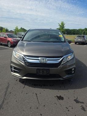 Pacific Pewter Metallic 2019 Honda Odyssey EX-L