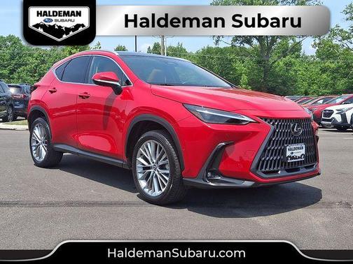 Redline 2024 Lexus NX 350h Luxury