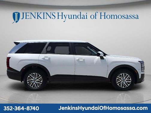 Pearl 2026 Hyundai PALISADE SE