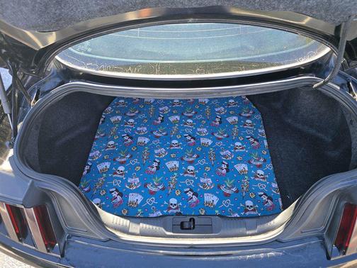 2015 Ford Mustang EcoBoost