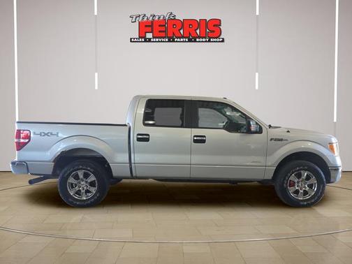 Ingot Silver 2014 Ford F-150 XLT
