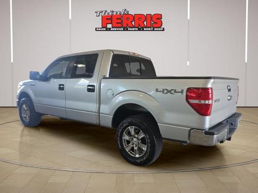 Ingot Silver 2014 Ford F-150 XLT