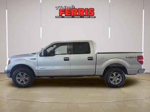 Ingot Silver 2014 Ford F-150 XLT