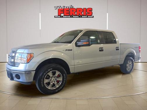 Ingot Silver 2014 Ford F-150 XLT