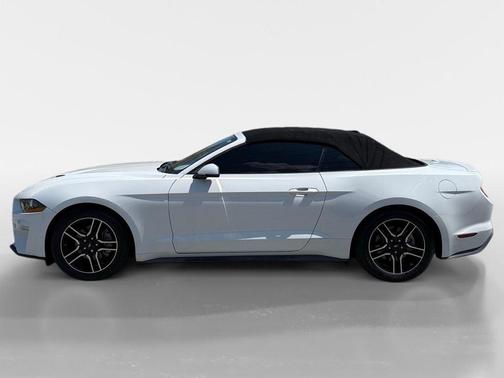 Oxford White 2019 Ford Mustang EcoBoost Premium