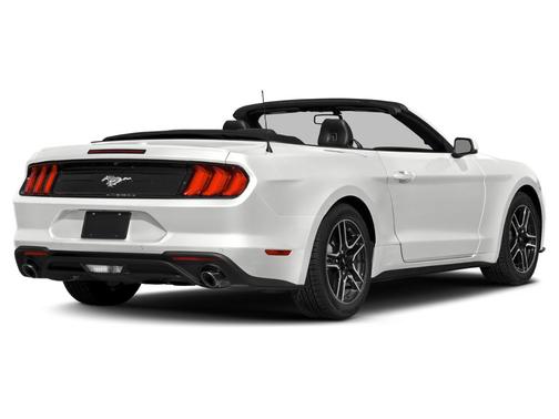 Oxford White 2019 Ford Mustang EcoBoost Premium