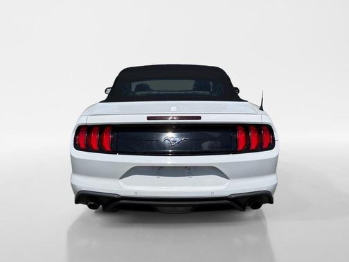 Oxford White 2019 Ford Mustang EcoBoost Premium