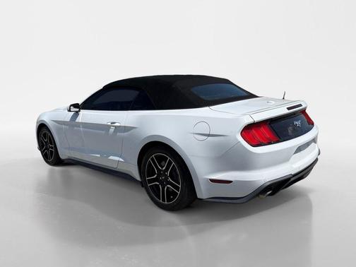 Oxford White 2019 Ford Mustang EcoBoost Premium