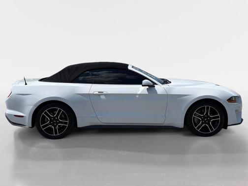 Oxford White 2019 Ford Mustang EcoBoost Premium