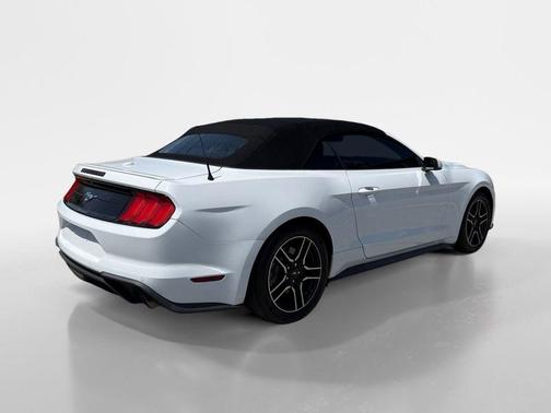 Oxford White 2019 Ford Mustang EcoBoost Premium