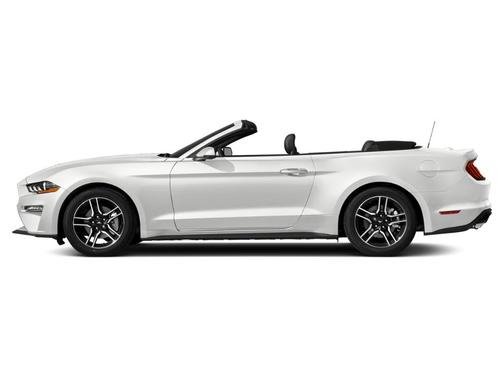 Oxford White 2019 Ford Mustang EcoBoost Premium