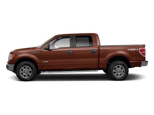 Golden Bronze Metallic 2012 Ford F-150 Platinum