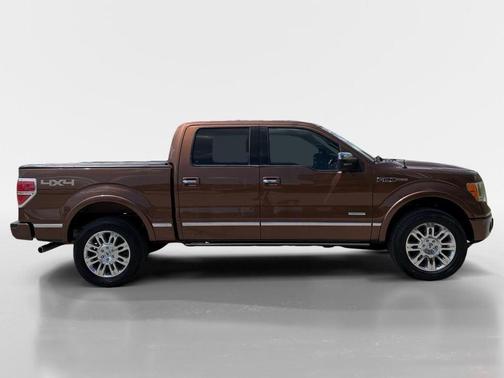 Golden Bronze Metallic 2012 Ford F-150 Platinum