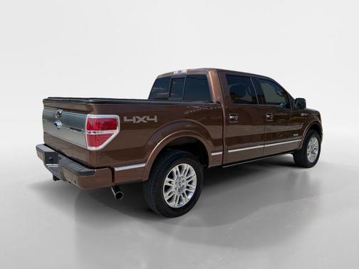 Golden Bronze Metallic 2012 Ford F-150 Platinum
