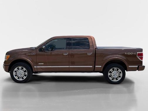 Golden Bronze Metallic 2012 Ford F-150 Platinum