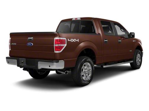 Golden Bronze Metallic 2012 Ford F-150 Platinum
